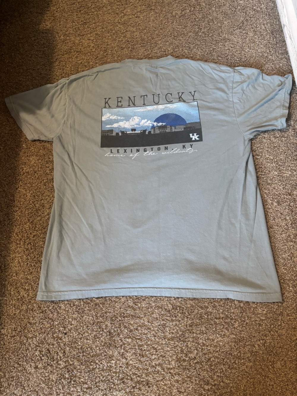 Lexington KY Graphic Tee. Shows pics of University campus. Comfort Colors XL tee